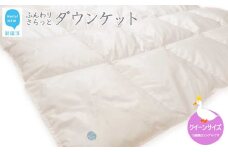 羽毛肌布団 ダウンケット クイーンサイズ（S-04） ホワイトダウン８５％ 抗菌・防臭
