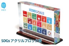 SDGs インテリア アクリル ブロック 盾 （厚さ40×幅210×高さ142mm） 高級 専用台