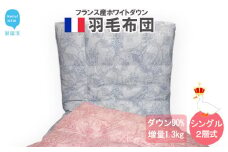 羽毛布団 シングル（G-03） フランス産 ホワイトダウン 90％ ツインキルト2層式 抗菌 防臭：配送情報備考　ブルー系