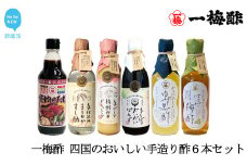一梅酢 四国のおいしい手造り酢６本セット お得 セット プロの味 国産 国内製造 酢の物 南蛮漬け 和え物 合わせ酢 焼肉 タレ