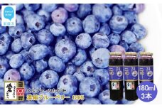 果汁 濃縮 ブルーベリー100％ 180ml 3本 セット エコえひめ認証栽培 国産 メルファ―ふたがみ