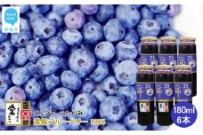 果汁 濃縮 ブルーベリー100％ 180ml 6本 セット エコえひめ認証栽培 国産 メルファ―ふたがみ