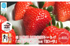 【先行予約】 フルーツ いちご 苺 「あまおとめ」 または 「紅い雫」 厳選大玉 約400g エコえひめ認証 愛媛県 オリジナルブランド品種 箱入り クール便 新鮮 朝摘み 収穫当日発送 ichigo okabe 【期間限定】【3月頃より発送】