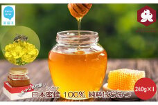 日本蜜蜂 100% 純粋 はちみつ 非加熱 240g×1 希少 国産 蜂蜜 ハチミツ