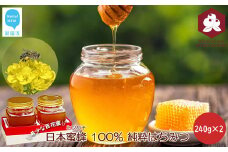 日本蜜蜂 100% 純粋 はちみつ 非加熱 240g×2 希少 国産 蜂蜜 ハチミツ