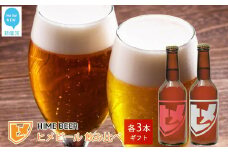 新居浜初 クラフトビール ヒメビール 2種飲み比べ セット 330ml×6本 Niihama Beverage 愛媛果汁食品