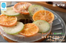 永久堂 セミドライフルーツ バウムクーヘン 紅まどんな 青いレモン 瀬戸内 柑橘 柑橘王国愛媛