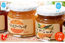 愛媛県産フルーツジャム（せとか・伊予柑）2種食べ比べセット（270g×6瓶） みきゃんの列車箱入り　ギフトにも最適　愛媛果汁食品