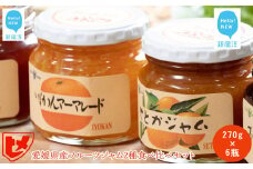 愛媛県産フルーツジャム（せとか・伊予柑）2種食べ比べセット（270g×6瓶） みきゃんの列車箱入り　ギフトにも最適　愛媛果汁食品
