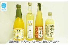 愛媛県産 果実系リキュール 飲み比べセット（720ml×1本・500ml×3本）【栄光酒造・梅錦山川・協和酒造・近藤酒造】