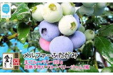 【期間限定】 旬にお届け 完熟生ブルーベリー 350g 完熟手作りブルーベリージャム 2瓶 セット メルファーふたがみ エコえひめ認証  【寄附受付：8月10日まで】