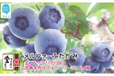 【期間限定】 旬にお届け 完熟生ブルーベリー 1300g 完熟手作りブルーベリージャム 4瓶 セット メルファーふたがみ エコえひめ認証  【寄附受付：8月10日まで】