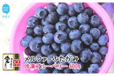 【先行予約】完熟ブルーベリー600g（冷凍）毎年人気の冷凍ブルーベリーです メルファーふたがみ