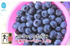 【先行予約】完熟ブルーベリー2.2kg（冷凍） 毎年人気の冷凍ブルーベリーです メルファーふたがみ