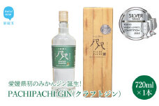 愛媛県初のみかんジン PACHIPACHI GIN（クラフトジン）　720ml ×1本 大容量 パチパチジン 【近藤酒造】