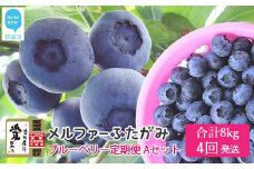 【定期便】 ブルーベリー三昧 Aセット（約8kg／4回発送）  完熟生ブルーベリー（8月中旬以降は冷凍ブルーベリー） エコえひめ認証