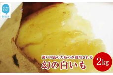 【先行予約】【数量限定】 新居浜大島産 幻のさつまいも 『白いも』 2kg 七福芋 白芋 希少