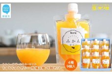 フルーツゼリー ちゅるちゅるゼリー 柑橘 4種 合計9個 セット みかん 甘平 きよみ せとか 柑橘王国愛媛 永久堂
