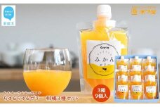 フルーツゼリー ちゅるちゅるゼリー 柑橘 3種 合計9個 セット みかん きよみ せとか 柑橘王国愛媛 永久堂