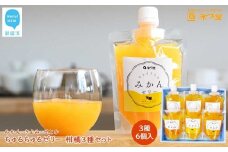 フルーツゼリー ちゅるちゅるゼリー 柑橘 3種 合計6個 セット みかん きよみ せとか 柑橘王国愛媛 永久堂