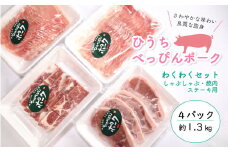 「ひうちべっぴんポーク」　わくわくセット（約1.3kg）