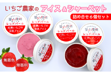 いちご農家のアイス＆シャーベットセット（完熟いちごの豆乳アイス3個・完熟いちごのシャーベット3個）