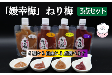 「媛幸梅」ねり梅（はちみつ・しそ・しそはちみつ・白干の4種から自由に3点選べます）3点セット［箱入り］