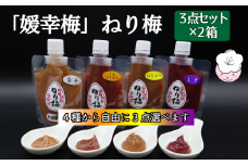 「媛幸梅」ねり梅（はちみつ・しそ・しそはちみつ・白干の4種から自由に3点選べます）3点セット［箱入り］×２箱