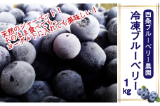 冷凍ブルーベリー１㎏　2025年6月下旬～9月発送　西条ブルーベリー農園 ブルーベリー 冷凍 【オンライン決済限定】