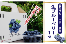 生ブルーベリー １㎏　2025年6月下旬～8月中旬発送　西条ブルーベリー農園 ブルーベリー 【オンライン決済限定】