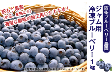 ジャム用冷凍ブルーベリー１㎏　2025年6月下旬～9月発送　西条ブルーベリー農園 ブルーベリー 冷凍 【オンライン決済限定】