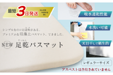NEW 足乾（そっかん）バスマット　レギュラーサイズ 【最短3営業日発送】｜ 珪藻土 バスマット 足拭きマット 浴室マット バス用品
