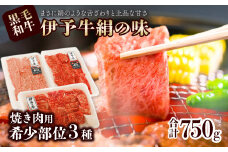 ★希少部位★ 伊予牛絹の味 焼肉 おまかせ3種盛 250ｇ×3種類 (冷凍)　 伊予牛 焼き肉 食べ比べ 黒毛和牛 希少部位