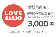寄附のみの応援受付（返礼品なし：3,000円） 愛媛県 西条市 寄付