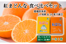 【先行予約】 紅まどんな 食べ比べ２箱セット（JA周桑・JA東予園芸）10～15個入り×各1箱　※2024年11月下旬～12月下旬頃発送　紅まどんな 柑橘 愛媛県オリジナル品種