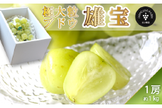 ＜葡萄の新品種＞雄宝（ゆうほう）1房（約１kg）