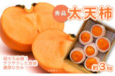 【先行予約】 太天柿 （秀品）約３kg　2025年11月発送 【オンライン決済限定】｜ 柿 くだもの 果物 柿 かき カキ 渋抜き 大玉 フルーツ 柿 愛媛県 西条市 送料無料