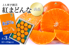 【先行予約】 愛媛オリジナル品種 「紅まどんな」（秀品 約３kg） 2025年11月下旬～12月下旬発送 【オンライン決済限定】 JA東予園芸　紅まどんな 柑橘 まどんな