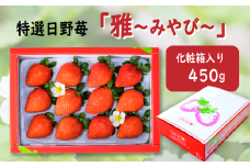 【先行予約】 特選　日野苺「雅（みやび）」（約450g） 化粧箱　　2025年11月下旬~2026年2月発送　いちご 苺 完熟 農家直送 産地直送