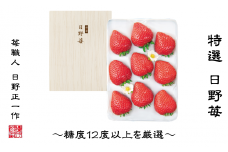 【先行予約】 特選　日野苺（約450g）～糖度12度以上を厳選～ 化粧箱　2025年11月下旬~2026年2月発送　いちご 苺 完熟 農家直送 産地直送