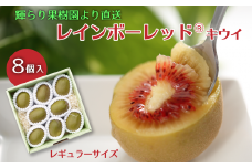 キウイ レインボーレッドⓇキウイ （レギュラーサイズ 8個入）　愛媛県西条市 輝らり果樹園  【先行予約・11月下旬～12月中旬頃発送】｜ 愛媛産 キウイ レインボー キウイ レッド 高糖度 赤い果肉 国産 高級キウイ キウイフルーツ