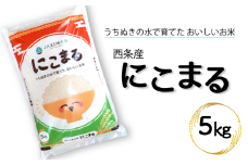 令和6年産 西条産のお米 「にこまる」（５kg）　にこまる 米 精米  【オンライン決済限定】