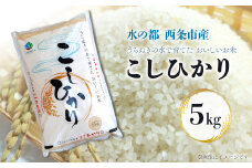 令和6年産 西条産のお米 「コシヒカリ」（５kg）　こしひかり 米 精米  【オンライン決済限定】