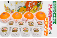 愛媛県西条市産 レインボーレッドキウイと紅まどんなのセット　※年内発送 12月下旬発送　紅まどんな 柑橘 レインボーレッド キウイ 食べ比べ 詰め合わせ セット