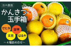 【先行予約】 茨木農園 「かんきつ玉手箱」 ～せとか・甘平・文旦・はるかの贅沢な詰め合せ～ ｜ 2026年2月下旬～3月発送予定 ｜ 愛媛県西条市産 柑橘 詰め合わせ