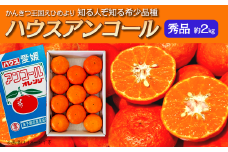 【先行予約】 ハウスアンコール（秀品約２kg） 2025年3月中旬～3月下旬発送 【オンライン決済限定】
