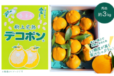 【先行予約】 樹上完熟デコポン（秀品３kg） 2025年3月下旬～4月中旬発送 【オンライン決済限定】