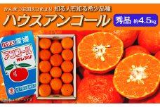 【先行予約】ハウスアンコール（秀品約４.５kg） 2025年3月中旬～3月下旬発送 【オンライン決済限定】