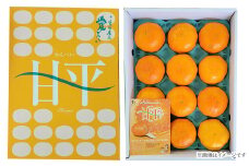 【先行予約】 愛媛オリジナル品種 「ハウス甘平」（秀品３kg） 甘平 柑橘 かんきつ 2025年1月下旬～2月発送 【オンライン決済限定】