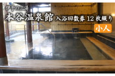 伊予の三湯「本谷温泉館」小人入浴回数券12枚綴り